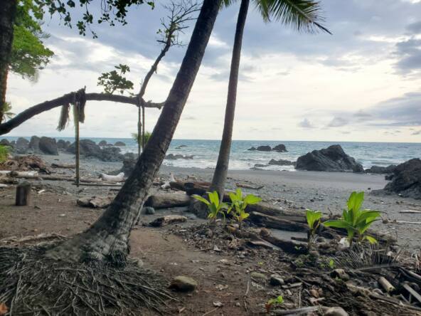 la-pina-waterfront-restaurant-for-sale-in-pavones-costa-rica