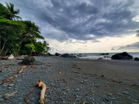 la-pina-waterfront-restaurant-for-sale-in-pavones-costa-rica