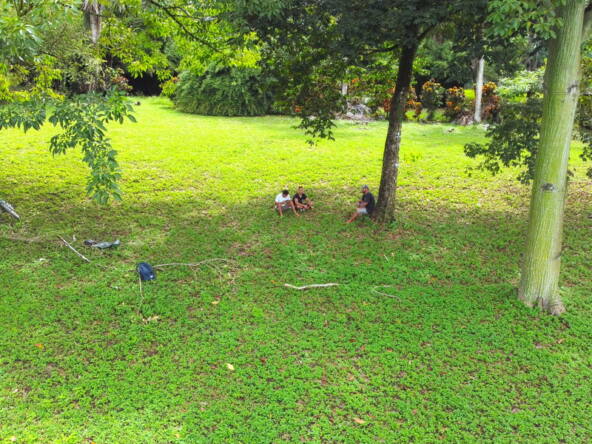 pavones-beachfront-property