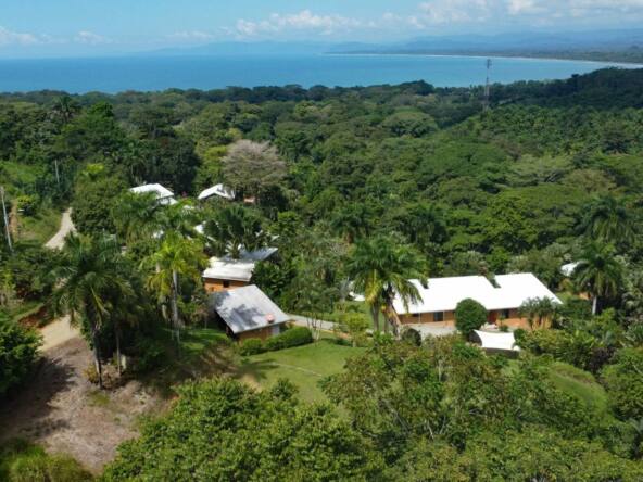 tropicana-surf-retreat-with-ocean-views-