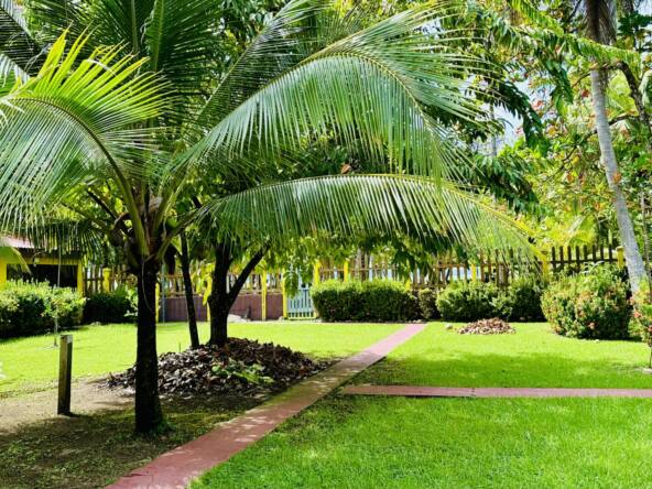Casa_Zancudo_yard