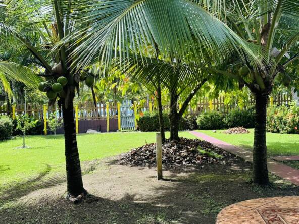 Casa_Zancudo_trees