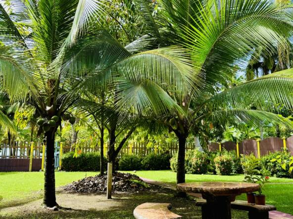 casa-zancudo-beachhouse