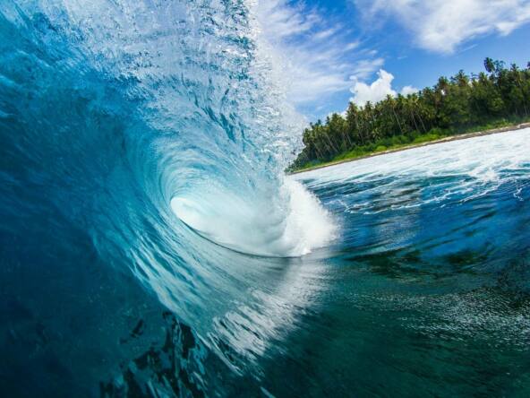 moon-beach-surf-resort-for-sale