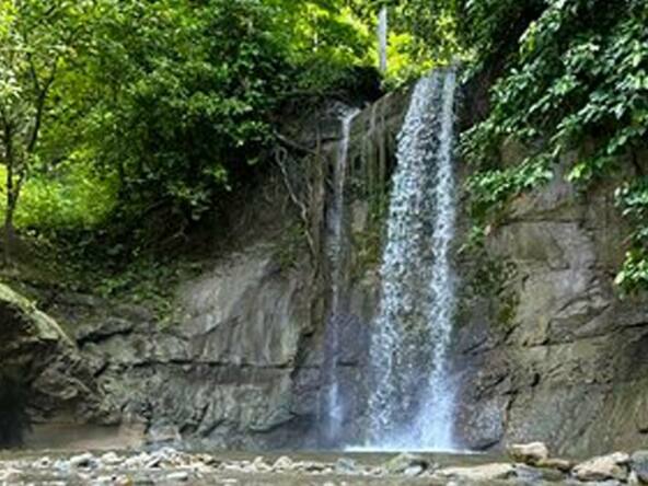 moon-beach-surf-resort-for-sale