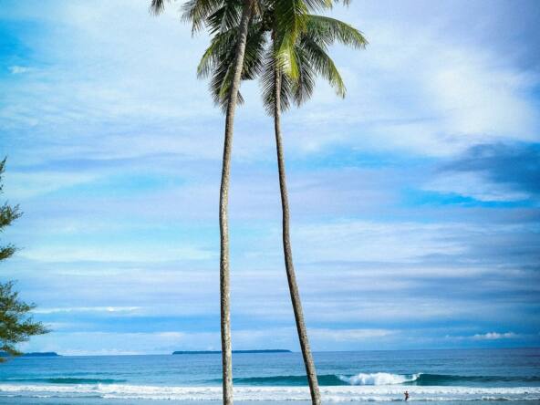 moon-beach-surf-resort-for-sale