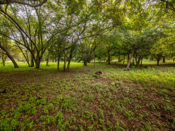 beautiful-b3-lot-hacienda-iguana