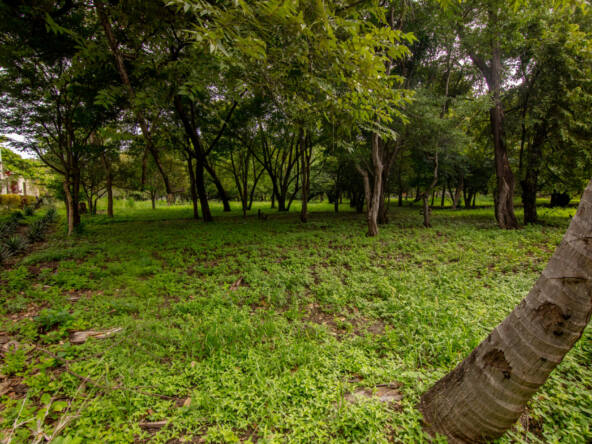 beautiful-b3-lot-hacienda-iguana