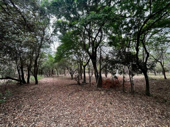 beautiful-gated-community-lot-in-hacienda-iguana