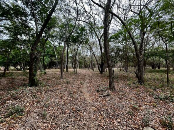 beautiful-gated-community-lot-in-hacienda-iguana