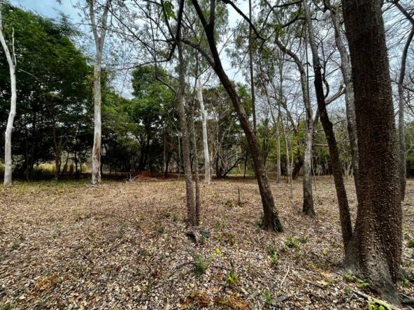 beautiful-gated-community-lot-in-hacienda-iguana