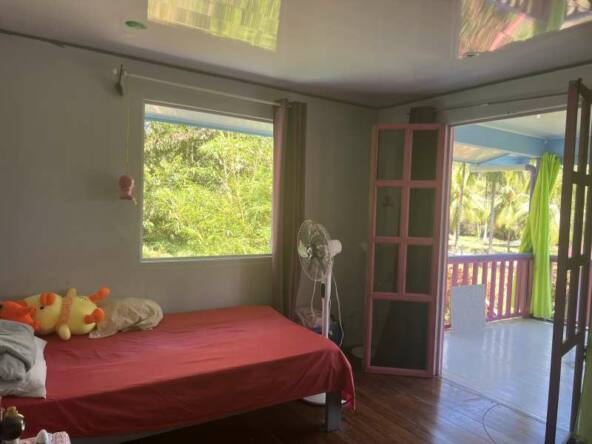 house-with-three-income-producing-cabinas-on-the-beach