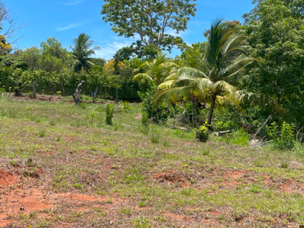 ocean-view-lot-for-sale-la-virgen-2,058M2