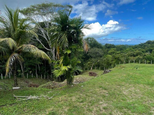 ocean-view-lot-for-sale-la-virgen-2,058M2