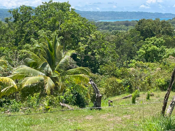 ocean-view-lot-for-sale-la-virgen-2,058M2