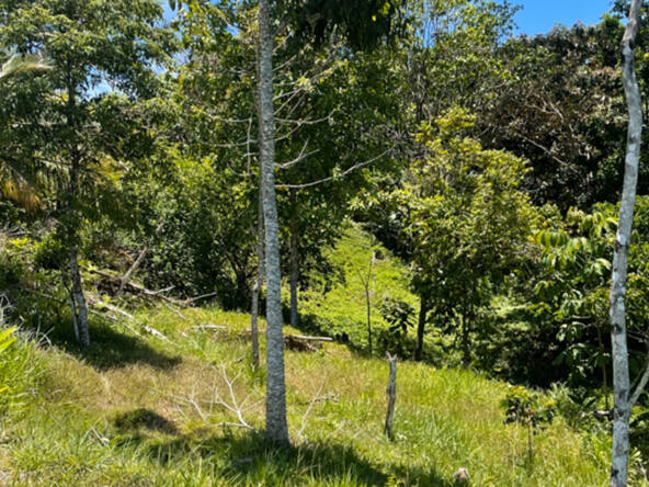 ocean-view-lot-for-sale-la-virgen-2,058M2