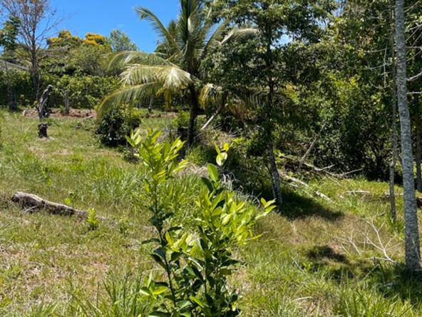 ocean-view-lot-for-sale-la-virgen-2,058M2