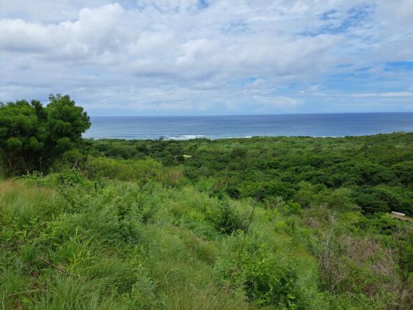 oceanview-lots-at-mango-time-beach-resort