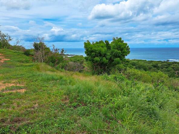oceanview-lots-at-mango-time-beach-resort