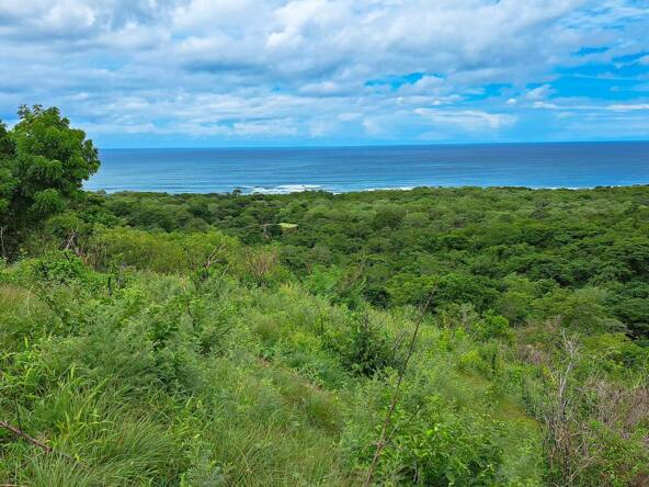 oceanview-lots-at-mango-time-beach-resort