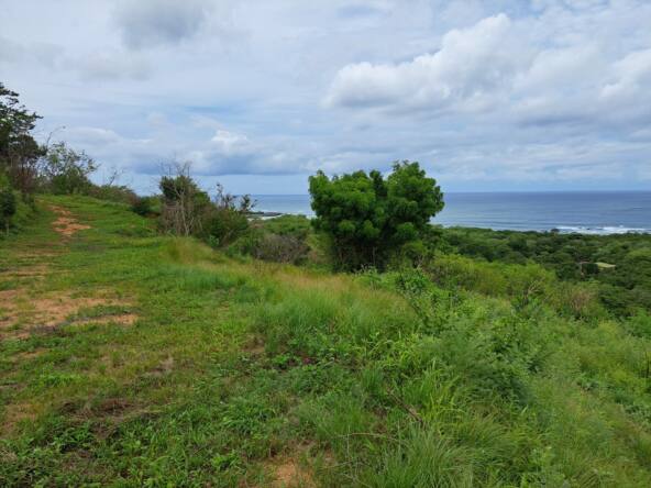 oceanview-lots-at-mango-time-beach-resort