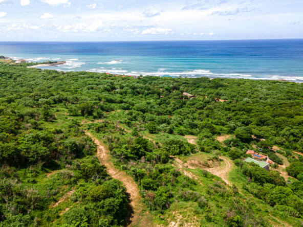 oceanview-lots-at-mango-time-beach-resort