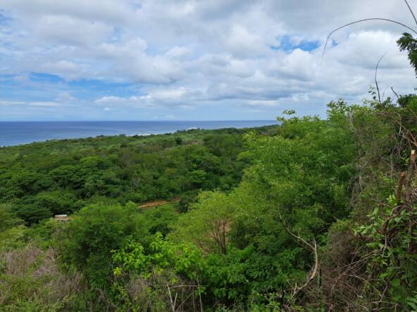 oceanview-lots-at-mango-time-beach-resort