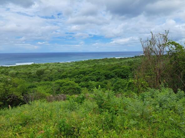 oceanview-lots-at-mango-time-beach-resort