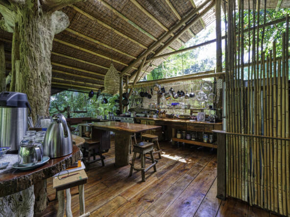 beachfront-eco-lodge-and-retreat-in-cabo-matapalo