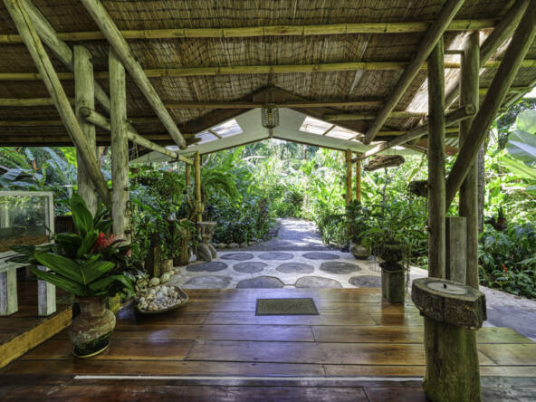beachfront-eco-lodge-and-retreat-in-cabo-matapalo