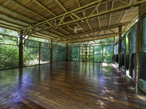 beachfront-eco-lodge-and-retreat-in-cabo-matapalo