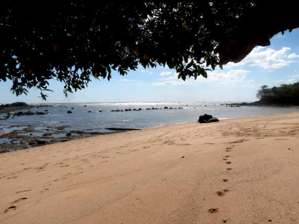 beachfront-villa-on-playa-el-flor