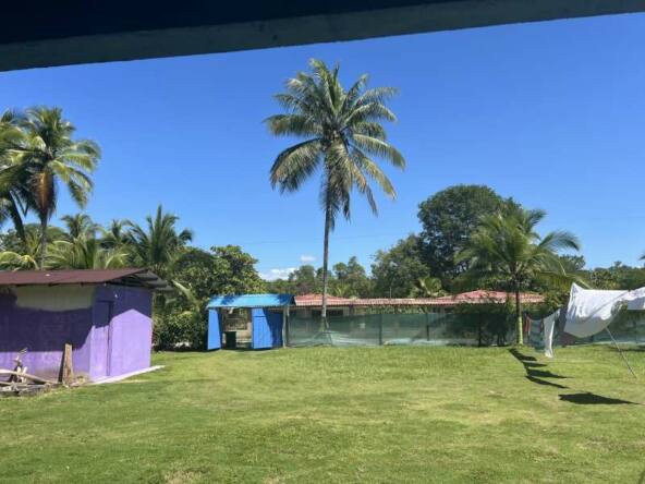 zan_income_cabina_back_yard_