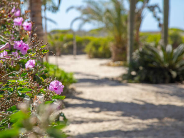 villa-los-vaqueros-on-cerritos-beach