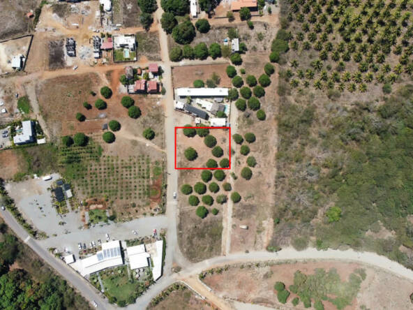 Fast-Growing-Community-Lot-in-Saladita