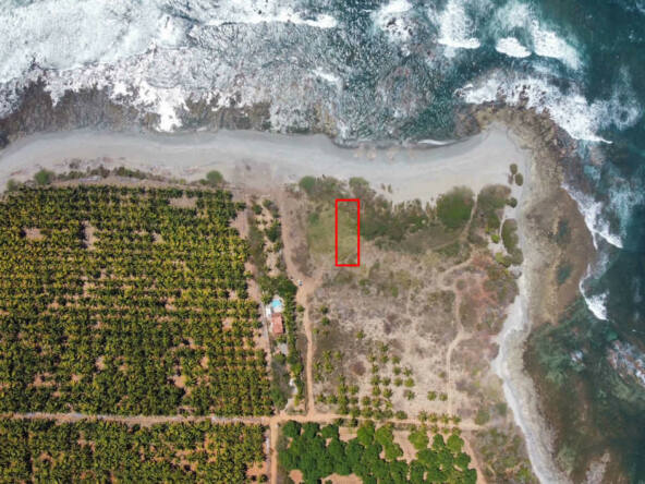 oceanfront-lot-in-south-saladita