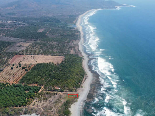 oceanfront-lot-in-south-saladita