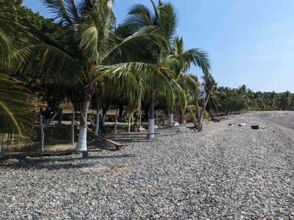 2_Beach_Front_Saldita_Lots_for_Sale_Beach_View_Coco_Trees