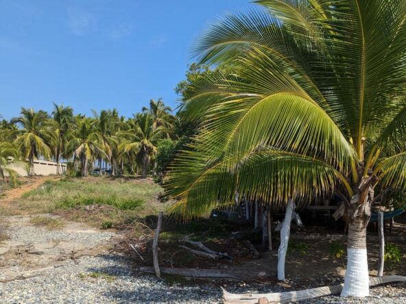 2_Beach_Front_Saldita_Lots_for_Sale_Beach_View_Lot