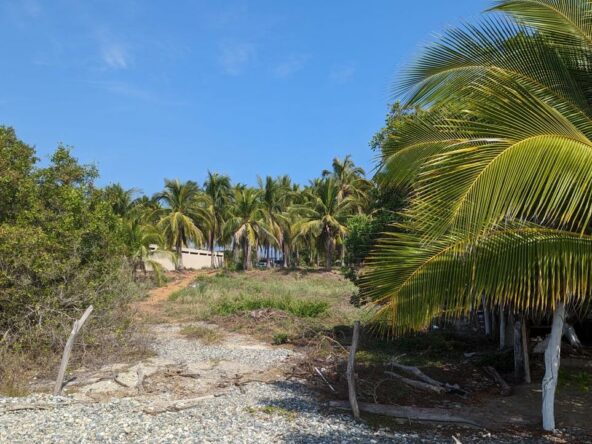 2_Beach_Front_Saldita_Lots_for_Sale_Beach_View_Lot_Path