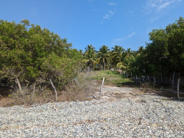 2_Beach_Front_Saldita_Lots_for_Sale_Beach_View_Lot_Path_Fence