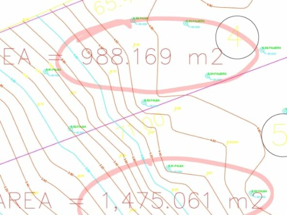2_Beach_Front_Saldita_Lots_for_Sale_Plano