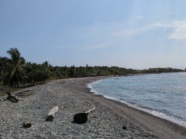 2_Beach_Front_Saldita_Lots_for_Sale_Side_Beach_View