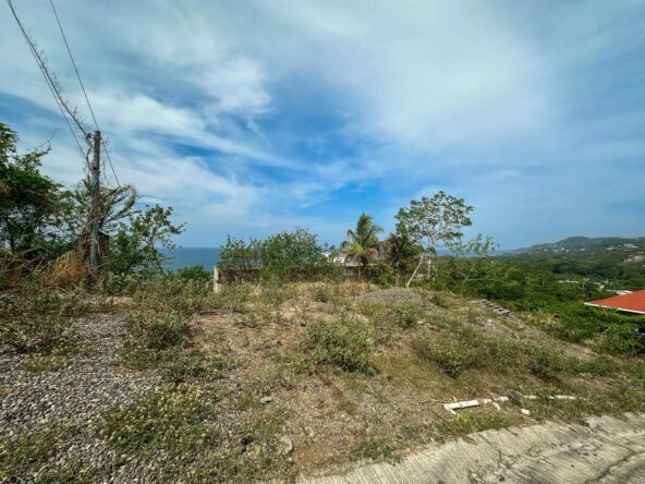 Beachfront-Land-in-Majahual-2