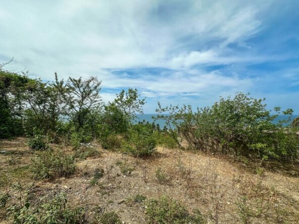 Beachfront-Land-in-Majahual-7
