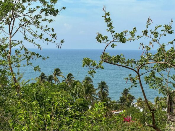 Beachfront-Land-in-Majahual-8