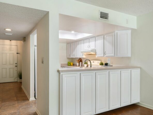 breward-county-oceanview-gem