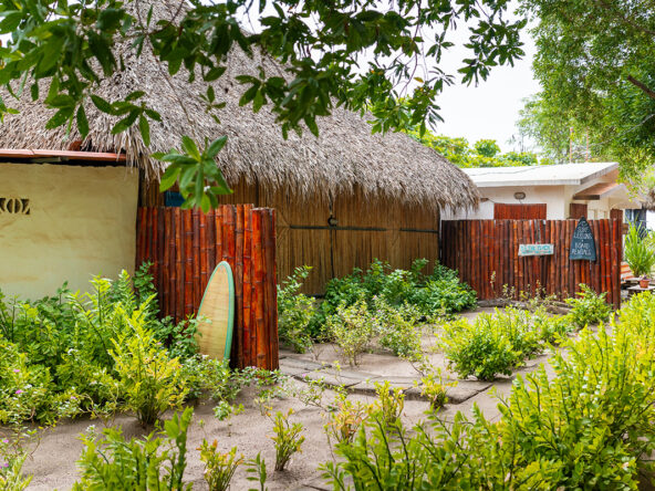 escondito-pacifico-guasacate-popoyo