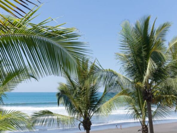 luxury-beachfront-hermosa-palms