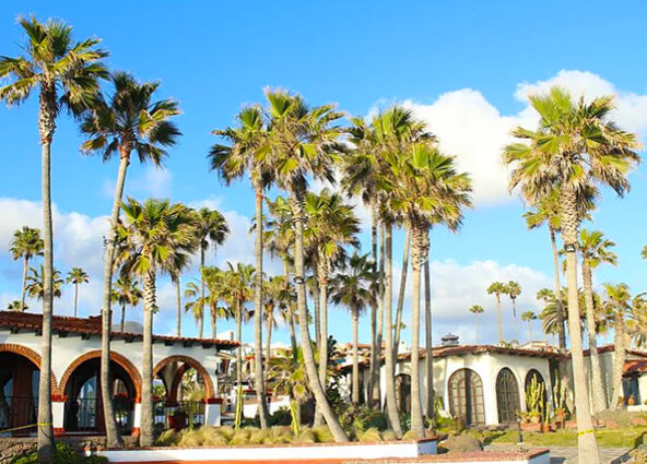 las-gaviotas-baja-california-mexico